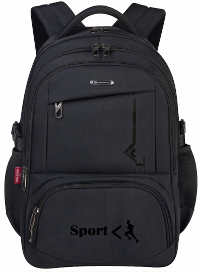 Balo Đựng Laptop 17 inch - BL259